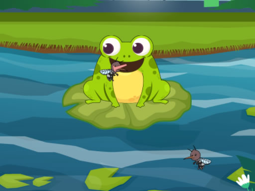 Frog Feast_img